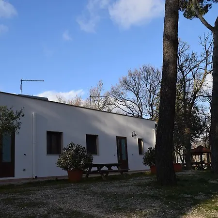 Villaggio Camping Bosco Selva Alberobello Exterior photo